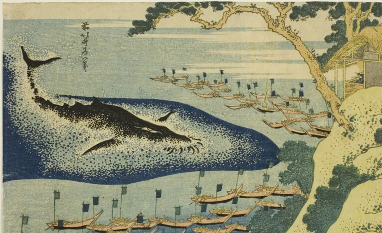 躍動するクジラの姿