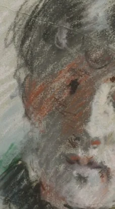 顔の左側の赤茶色の影