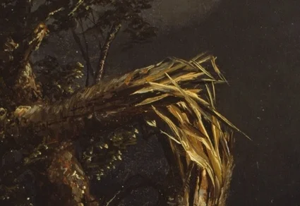 裂けた上部の幹