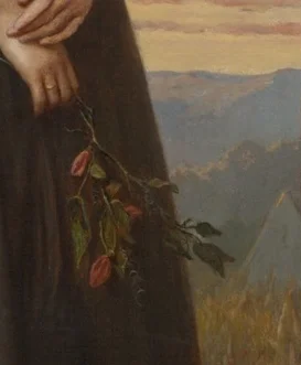 枯れかけた植物の枝