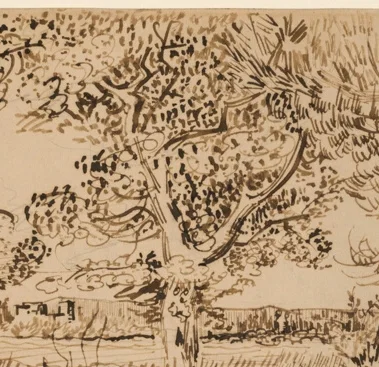 中央の木の葉群