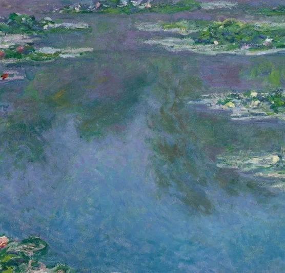 水面に映る影（樹木など）