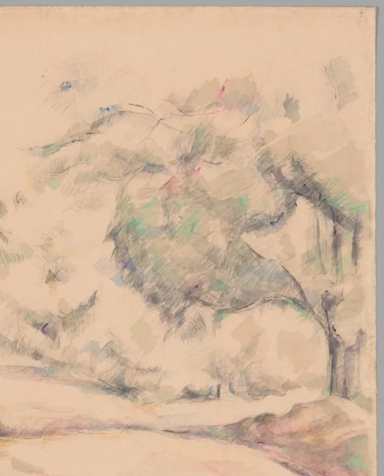 右側の大きな樹木の葉