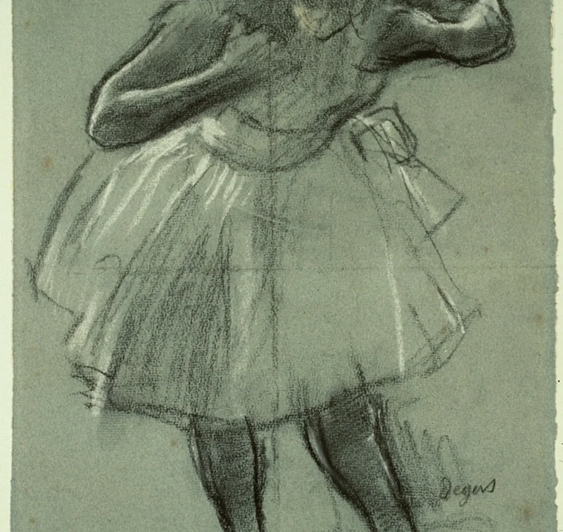 チュチュの白いチョークによるハイライト