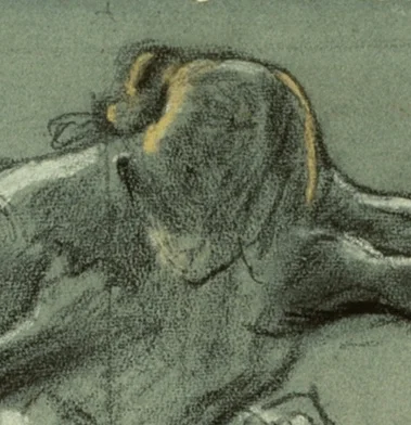 踊り子の頭部と髪