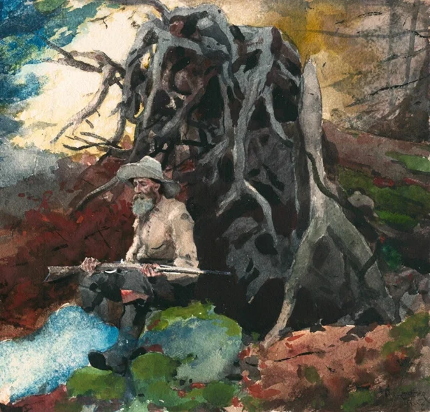 巨大な木の切り株と根