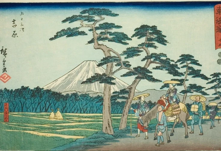 画面中央の大きな松の木