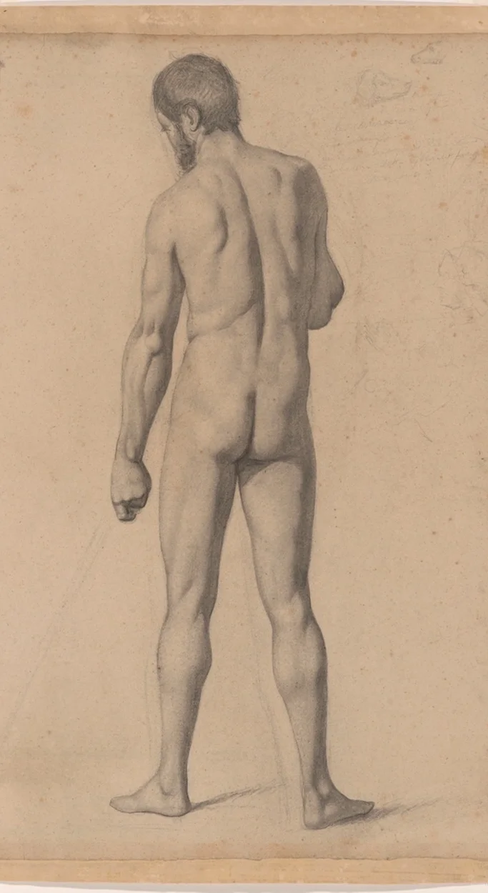 背中を向けた裸体の男性