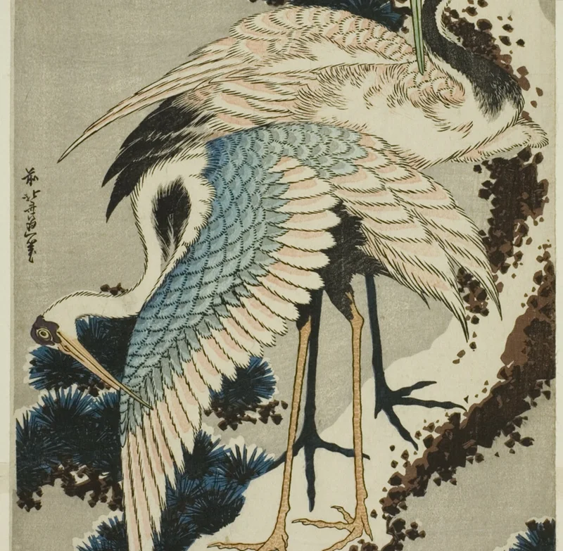 下の鶴の青い翼