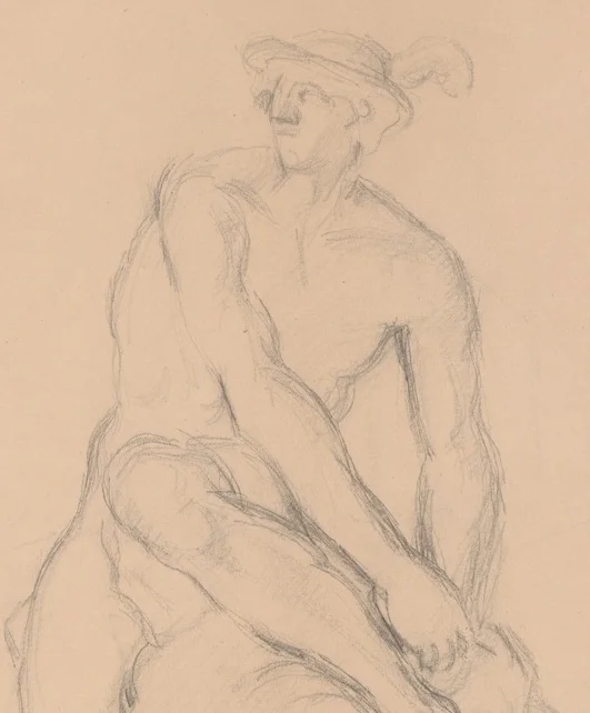 筋骨逞しい胴体