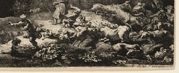 混乱する羊の群れ