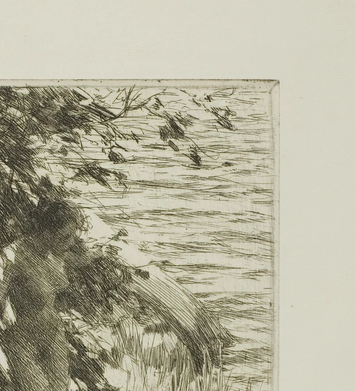 光を反射する水面