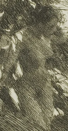 背中と肩のハイライト