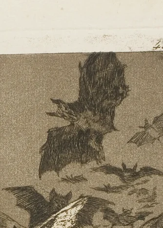 上空を舞う巨大なコウモリ