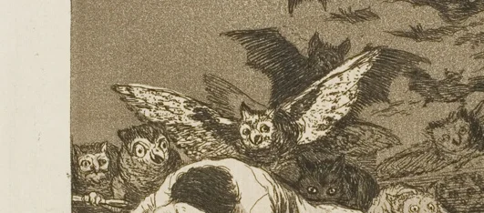 翼を広げた大きなミミズク