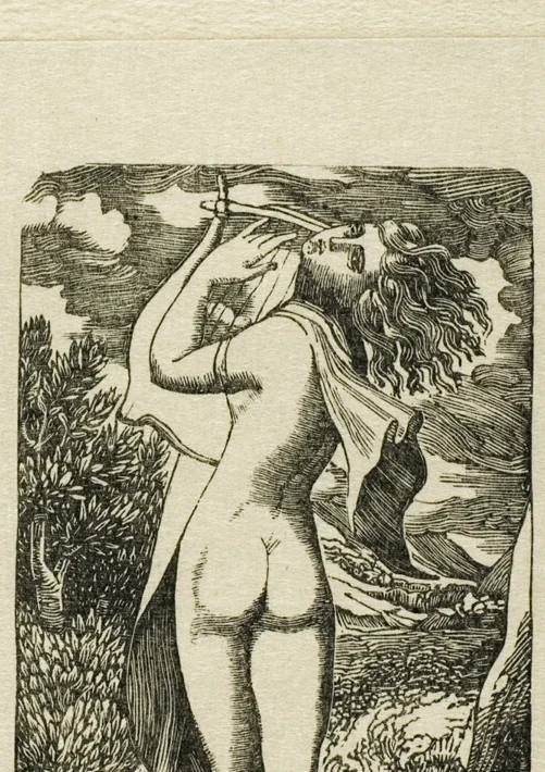 掲げられた薄い布