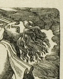 風になびく豊かな髪