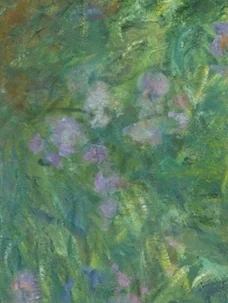 右上の紫色の花々の集まり