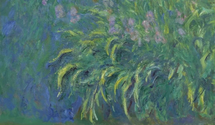 手前の長く垂れ下がる黄緑色の葉