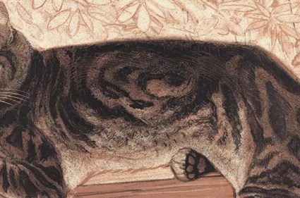 渦巻き状の毛並み模様