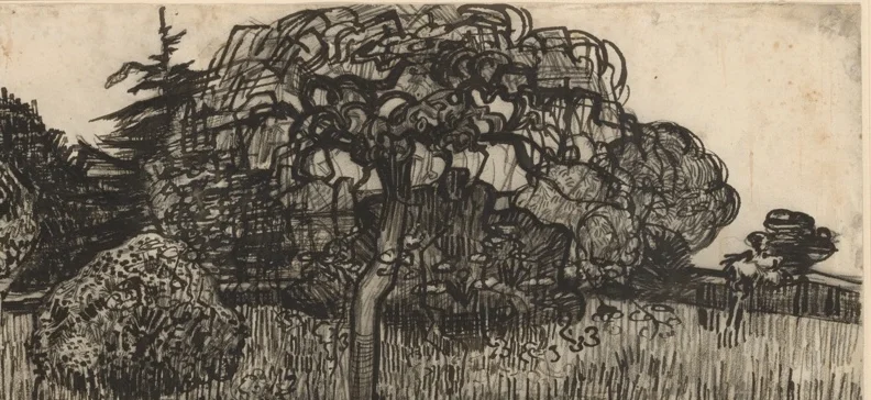 しだれ柳の葉群