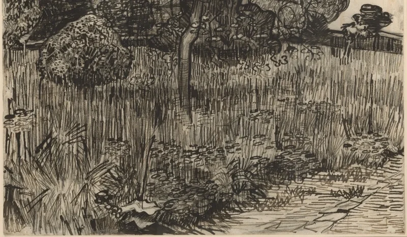 草が生い茂る地面