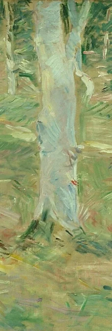 中央の白い樹幹