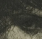 強い眼差しの左目