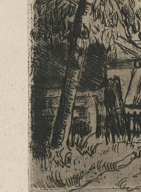 木の下の深い影