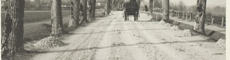 道を横切る樹木の影