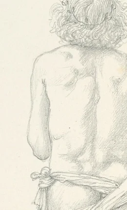 左肩と肩甲骨の筋肉