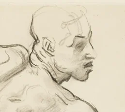 男性の頭部と横顔