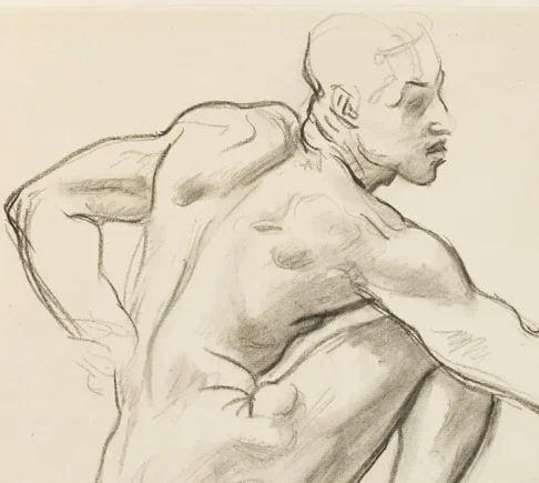 背中の筋肉組織