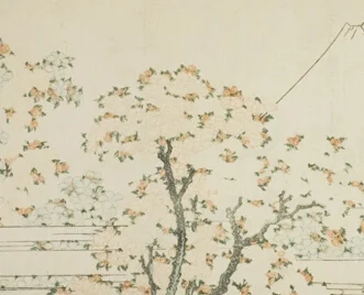 中央の桜の密集