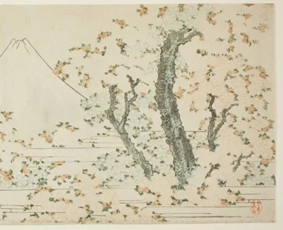 右側に広がる満開の桜