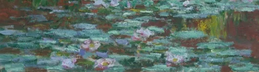 前景の睡蓮の葉と花