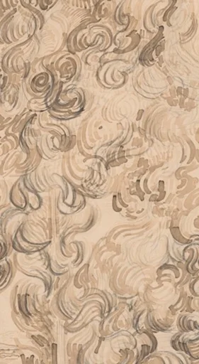 イトスギの中央部分