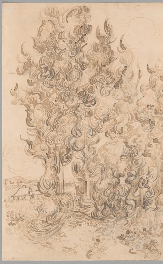 左側の巨大なイトスギ