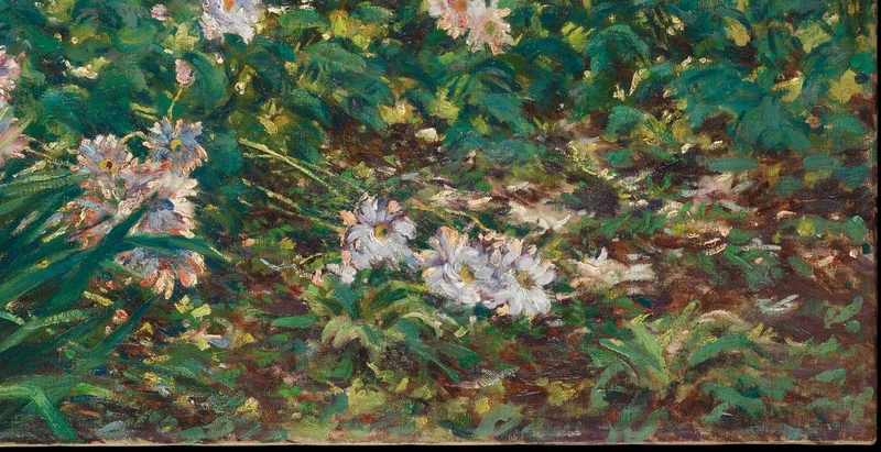 地面に落ちる樹木の影