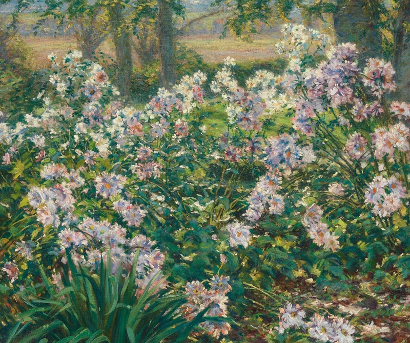 中央に広がる白い花々