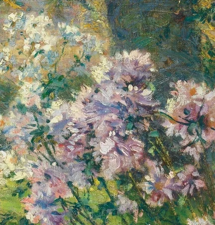 淡いピンク色のアネモネ