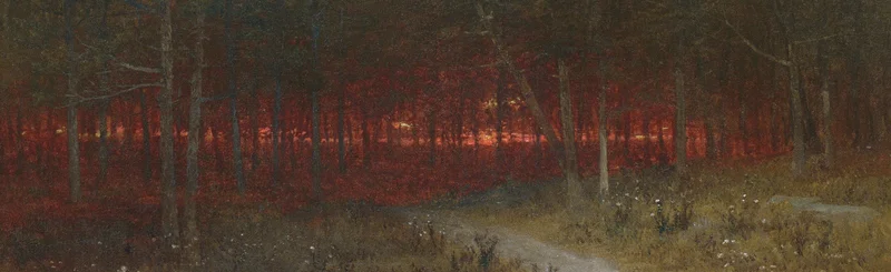 森の奥に輝く夕焼けの光