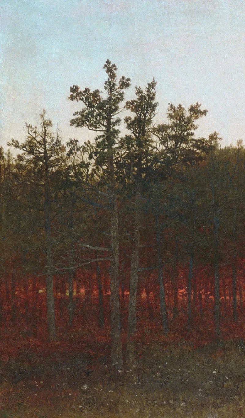 左側の背の高いヒマラヤスギ