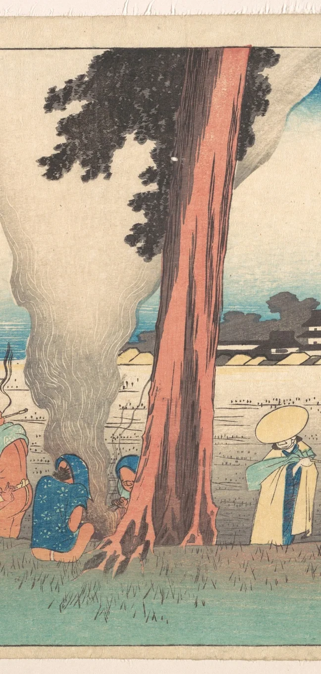 巨大な松の木の幹