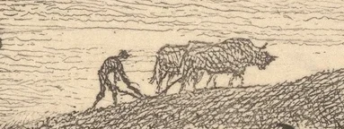 遠くの耕作者と牛