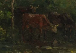 水を飲む牛たち