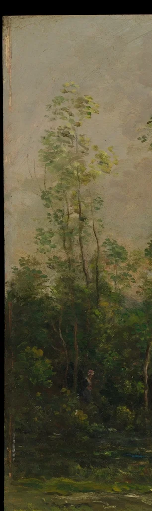 最も高いポプラの木