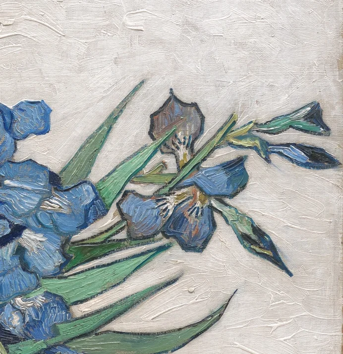 右端のアイリスと蕾