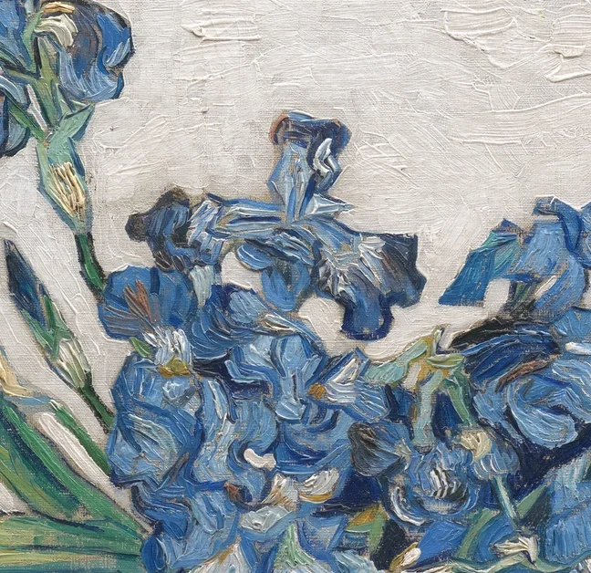 中央上部の密集した花