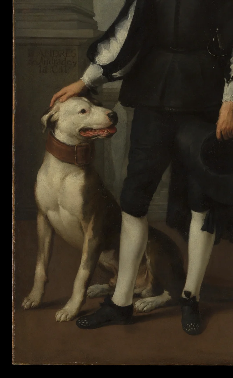 忠実そうな白い大型犬